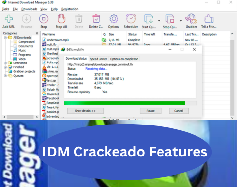 Features IDM Crackeado