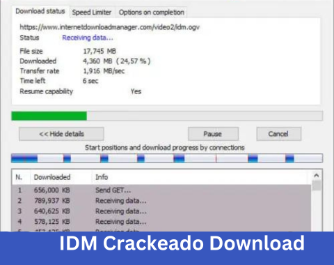download idm