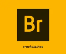 Adobe Bridge Crackeado